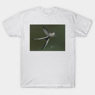 Scissor-tailed Flycatcher T-Shirt